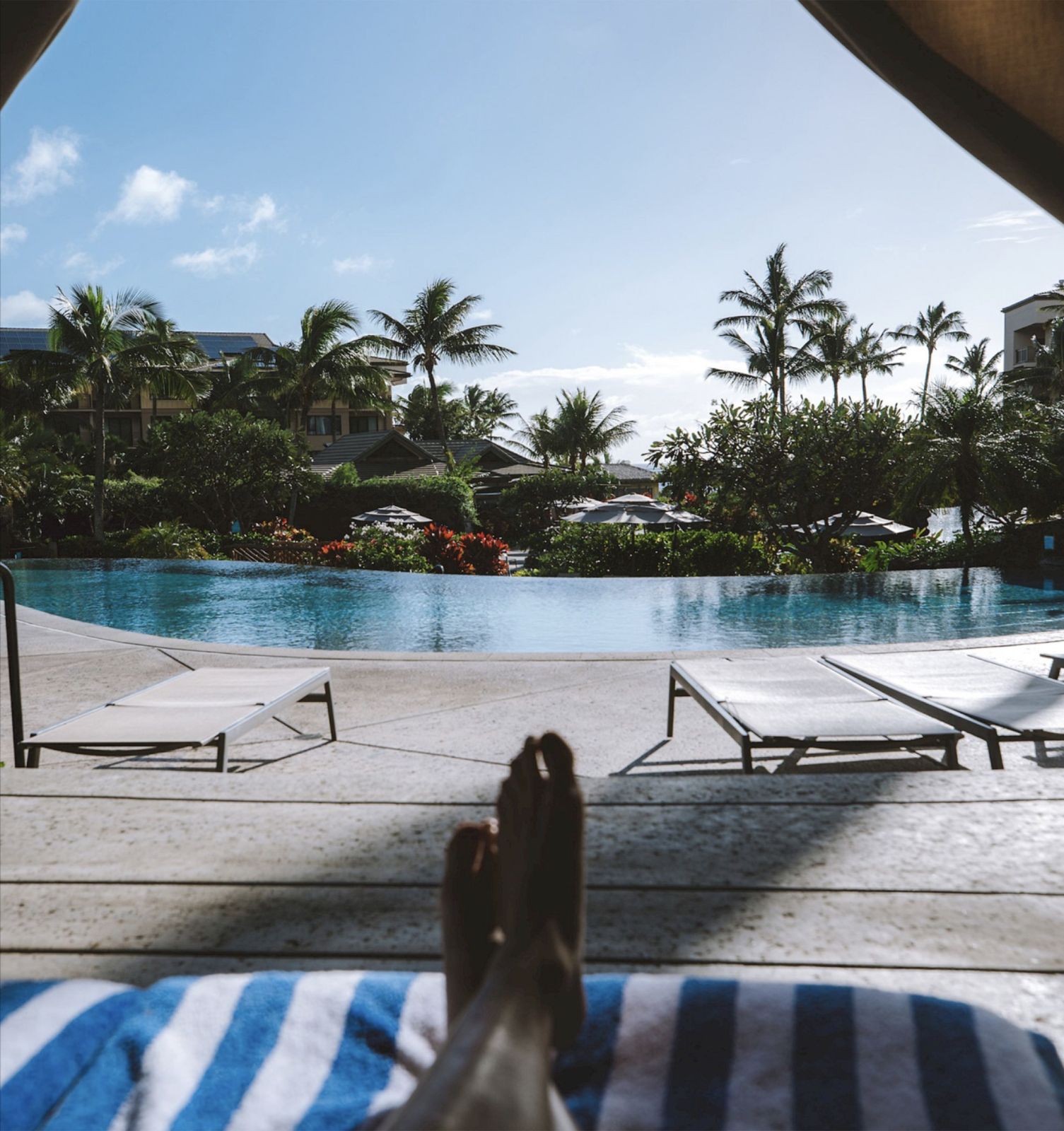 View from a lounge chair at the edge of an infinity pool, palms and the ocean horizon beyond